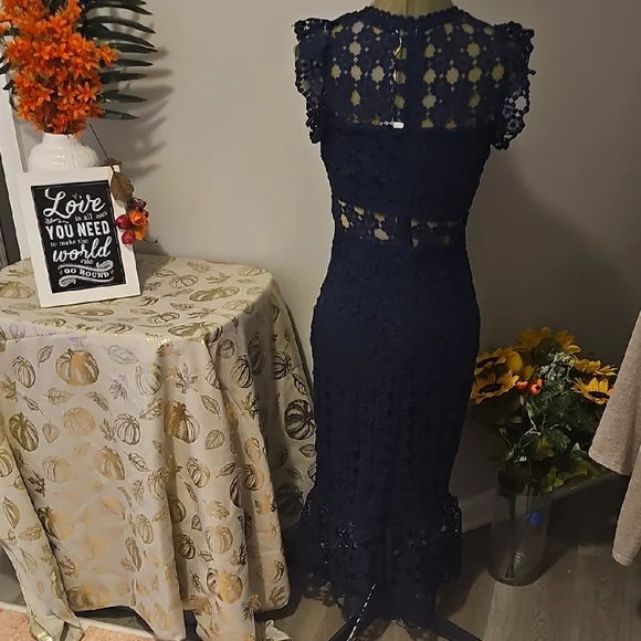 NWT PETAL+PUP LAUREN DRESS Elegant Navy Lace Midi Dress SZ 2 - Picture 12 of 12